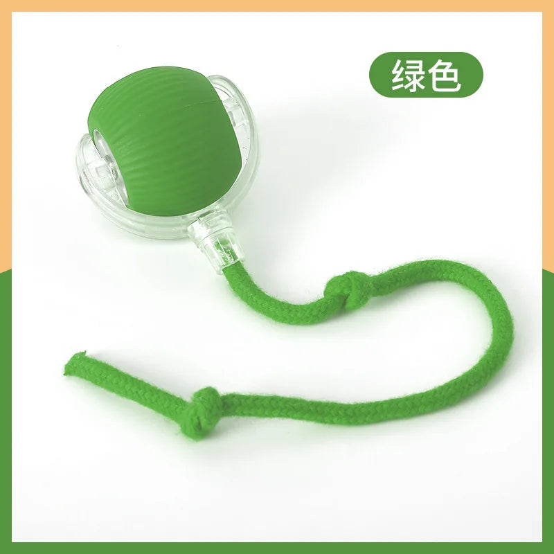 FW&D™ Smart Interactive Cat Toy Ball – Rechargeable & Motion-Activated