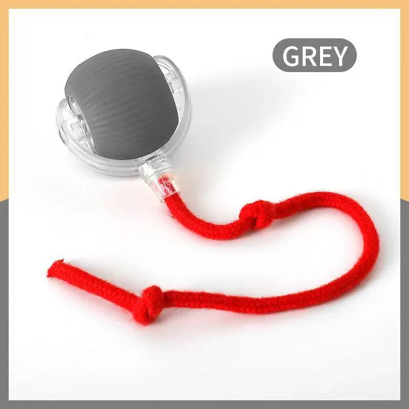 FW&D™ Smart Interactive Cat Toy Ball – Rechargeable & Motion-Activated