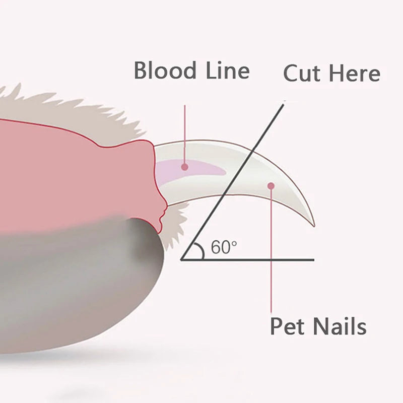 FW&D™ LED Pet Nail Clipper – Safe & Precise Grooming Tool