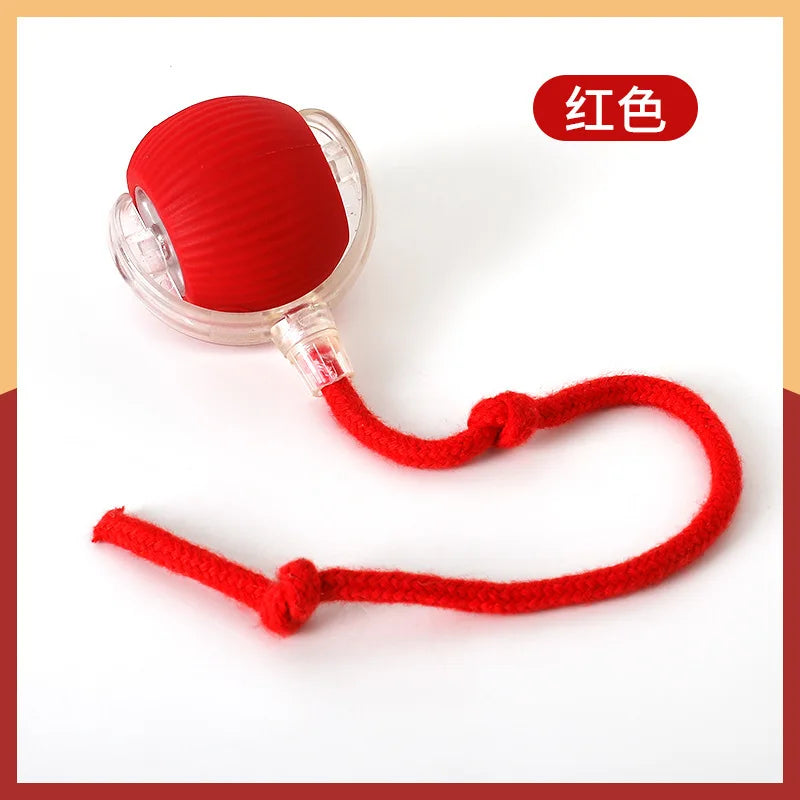 FW&D™ Smart Interactive Cat Toy Ball – Rechargeable & Motion-Activated
