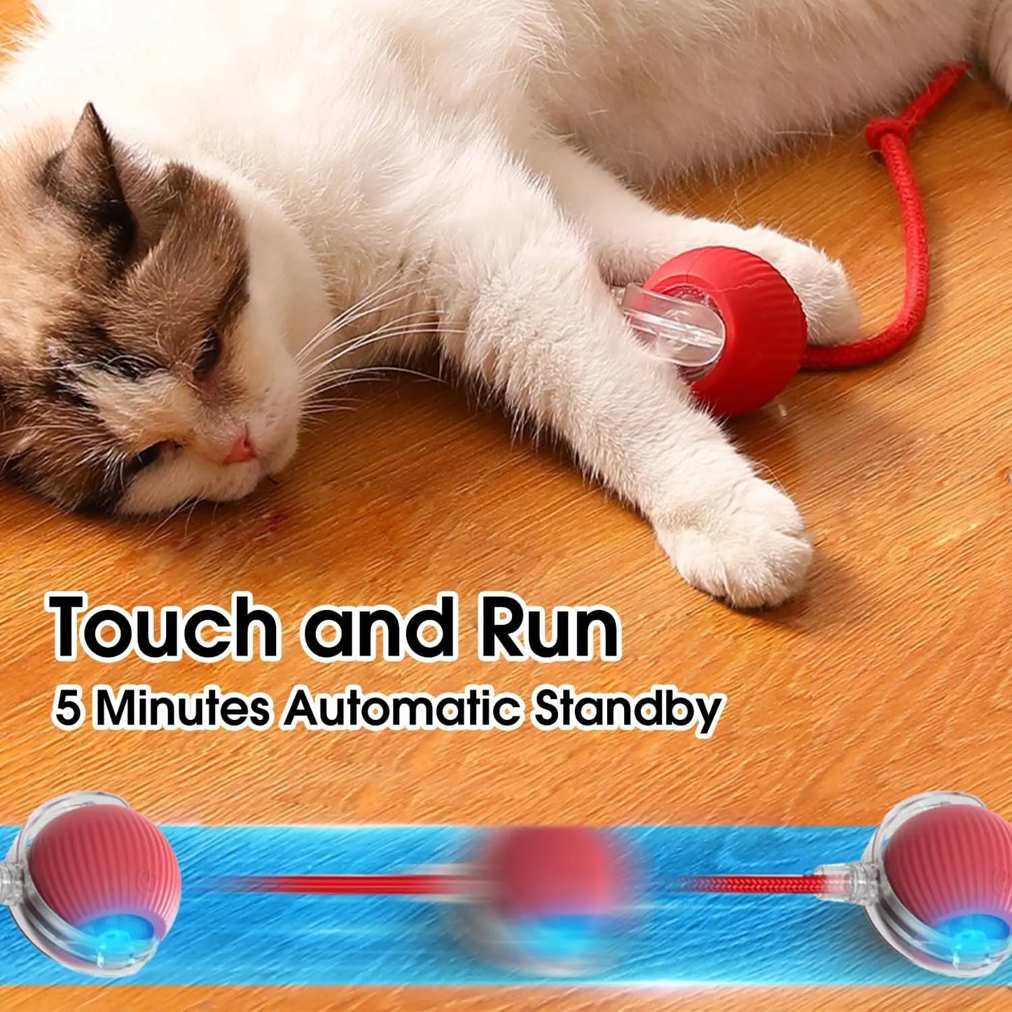 FW&D™ Smart Interactive Cat Toy Ball – Rechargeable & Motion-Activated