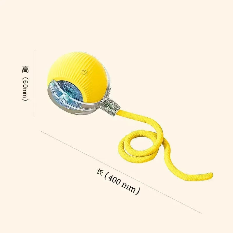 FW&D™ Smart Interactive Cat Toy Ball – Rechargeable & Motion-Activated