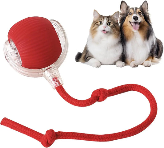 FW&D™ Smart Interactive Cat Toy Ball – Rechargeable & Motion-Activated